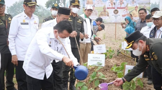 Kampung Pangan Terpadu, Menyemai Asa dari Buluran Kenali